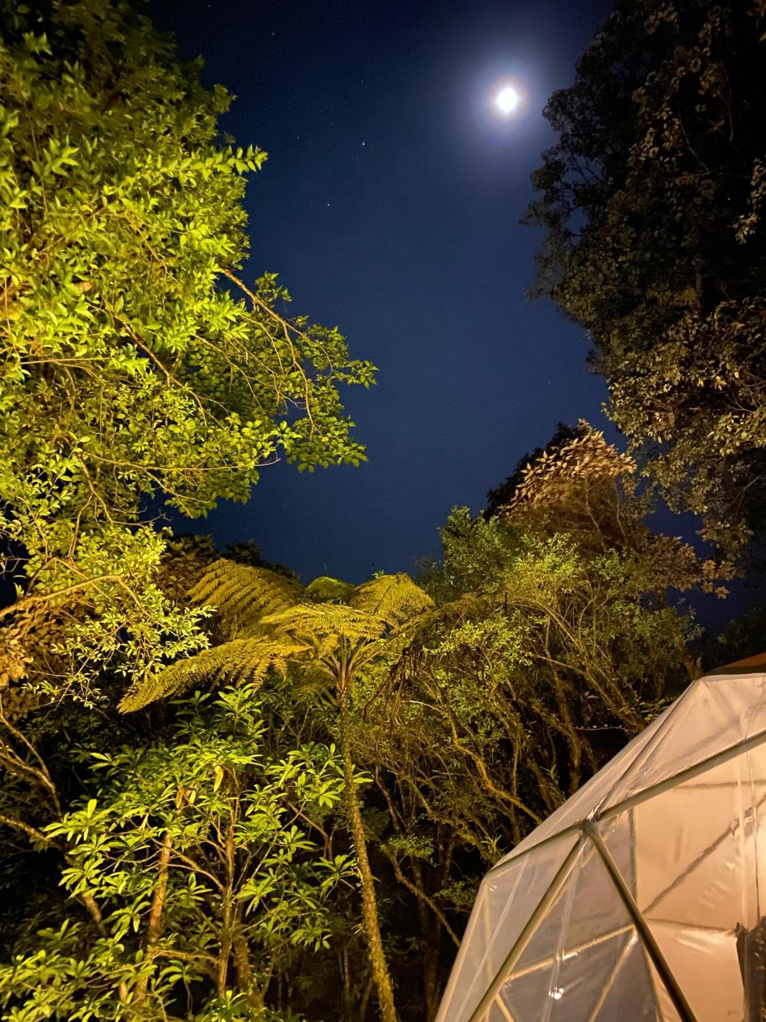 Way To Heaven Glamping Hotel Monteverde Exterior foto
